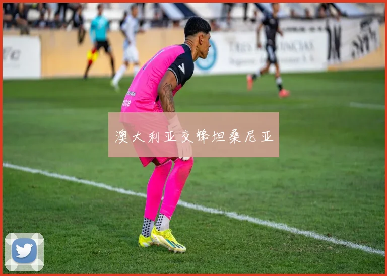 澳大利亚交锋坦桑尼亚