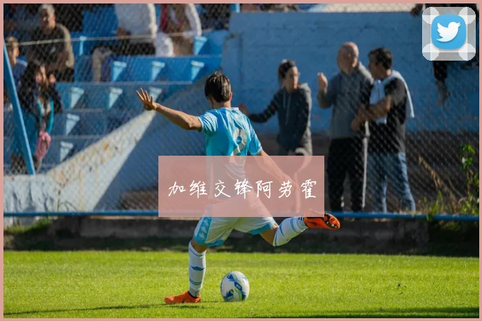 加维交锋阿劳霍