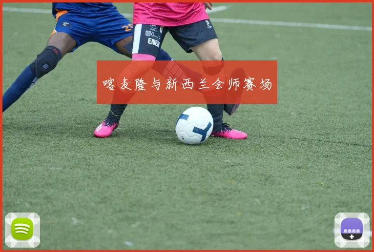 喀麦隆与新西兰会师赛场