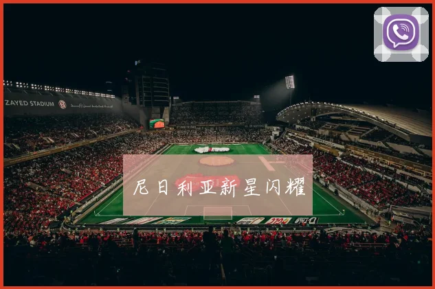 尼日利亚新星闪耀